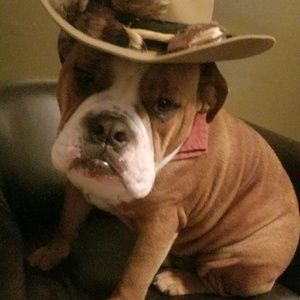 Meet your Posher, Dawn